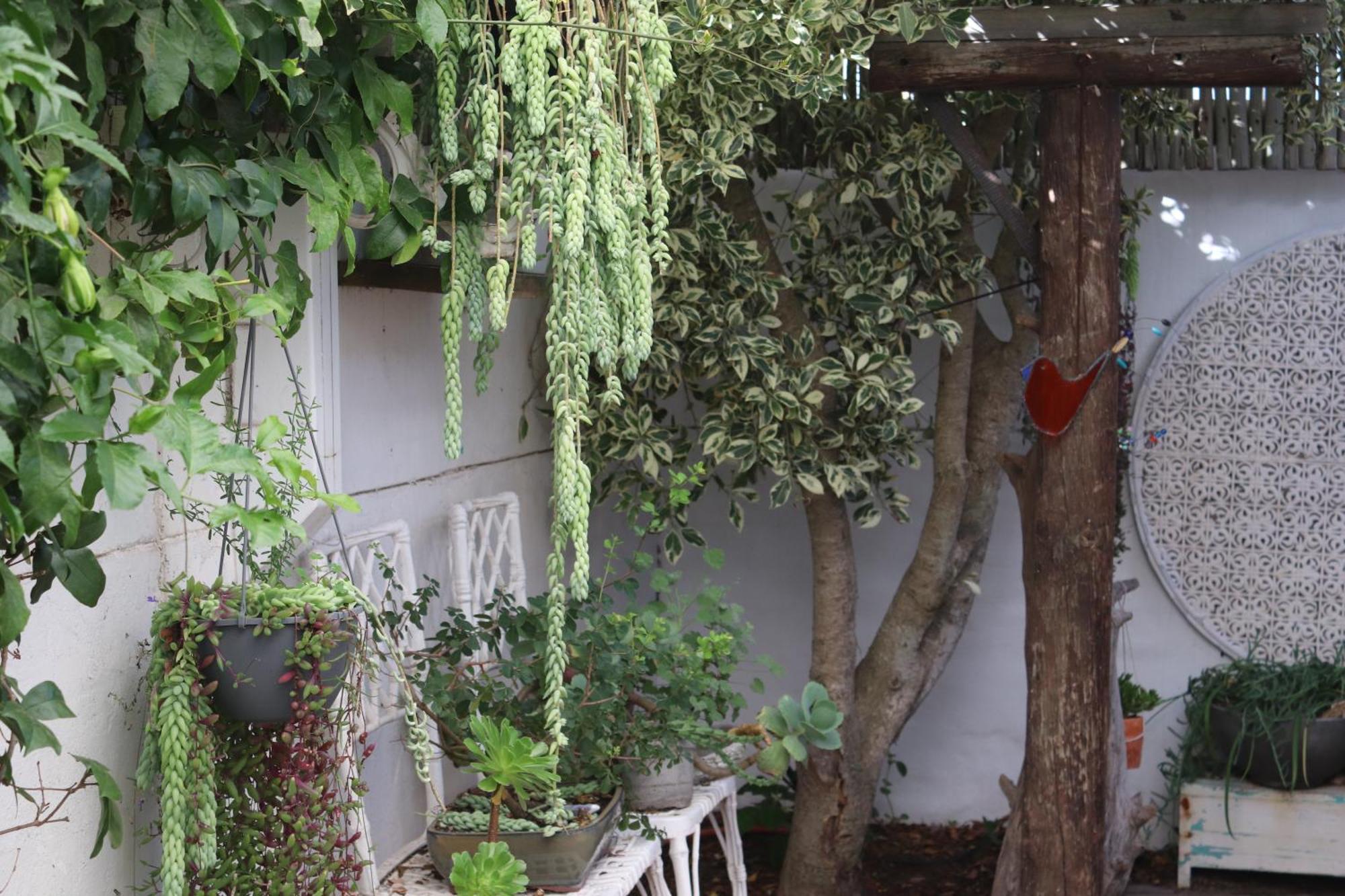 Gilcrest Place Guest House 帕特诺斯特 外观 照片